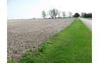Property photo 11 - 172 Acres Offered in 3 Tracts - Prime Farmland